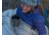 Therm-a-Rest Vesper 20F UL Quilt Sleeping Bag