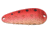 Thomas Cyclone Wobbler Casting/Trolling Spoon, 1 3/4", 1/4 oz, Gold/Red, S515-GR