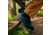 Timberland Mt. Maddsen Mid Lace Up Waterproof Hiking Boots - Mens, Black, 8.5 US, TB12731R001108500M