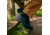 Timberland Mt. Maddsen Waterproof Mid Hiking Boot - Mens, Black, 13, Wide, TB12731R00113000W