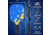 TKG Sports Carbon Fiber Pickleball Set with Carry Bag, TKGTKGPKLCRBN