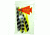 Trueflight Feather Combo Pack, Barred/Chartreuse5in.LW Shield 21937