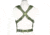 VISM AR &amp; Pistol Mags Chest Rig, Green, CVARPCR3031G