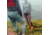 Vivobarefoot Primus Trail II FG Trailrunning Shoes - Womens, Blue, 38 Euro, 209097-1038