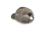 Vortex Multi-Cam Logo Cap - Mens, Multicam Camo, One Size, 220-39-MUL