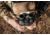 Vortex Ranger HD 3000 10x42mm Laser Rangefinding Binocular, Green, LRF-RGR3000