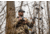 Vortex Ranger HD 3000 10x42mm Laser Rangefinding Binocular, Green, LRF-RGR3000