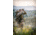 Vortex Ridgeview Carbon Tripod Kit, Black, 5x5x30, TR-RVC