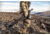 Vortex Ridgeview Carbon Tripod Kit, Black, 5x5x30, TR-RVC