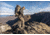 Vortex Ridgeview Carbon Tripod Kit, Black, 5x5x30, TR-RVC