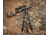 Vortex Switchback Carbon Tripod Kit, Black, 5.75x5.75x32.50, TR-SBC