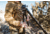 Vortex Switchback Carbon Tripod Kit, Black, 5.75x5.75x32.50, TR-SBC