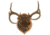 Walnut Hollow Deluxe Antler, Display Kit Camo 40591
