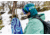 Weston Eclipse Snowboard x Haa Aani Alliance, 150cm, 24.006.B65.150
