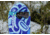 Weston Eclipse Snowboard x Haa Aani Alliance, 150cm, 24.006.B65.150