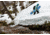 Weston Eclipse Snowboard x Haa Aani Alliance, 150cm, 24.006.B65.150