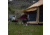 White Duck Altimus Bell Tent, Fire Water Repellent, 14ft, WD-RBT-20