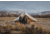 White Duck Flysheet Bell Tent, Rover, White, 6ftx8ft, RST-6x8