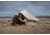 White Duck Flysheet Bell Tent, Rover, White, 6ftx8ft, RST-6x8