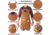 White Duck Work Apron, Brown, WWD-002