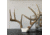 Wicked North Gear The Change Up Antler Display Kit, Black, B801-A002