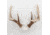 Wicked North Gear The Change Up Antler Display Kit, Black, B801-A002
