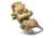 Wilcox G22 Night Vision Goggle Mount, Tan, 28300G22-T