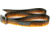 Wingo Outdoors Basecamp Belt - RepYourWater, Brown Trout, One Size Fits Most, W-BAS-504-OS
