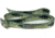 Wingo Outdoors Basecamp Belt - RepYourWater, Topo Trout, One Size Fits Most, W-BAS-513-OS
