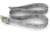 Wingo Outdoors Basecamp Belts - RepYourWater, Trout Country, One Size Fits Most, W-BAS-522-OS