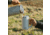 Yeti Rambler 24 oz Mug w/MagSlider Lid