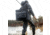 Yeti SideKick Dry 3L Waterproof Gear Case