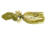 Z-man Chatterbait Freedom CFL, Green Pumpkin, 1/2oz, CBCFL12-02