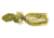 Z-man Chatterbait Freedom CFL, Green Pumpkin, 3/4Oz, CBCFL34-02