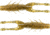 Z-man Elaztech TRD Hogz Creature Bait, Dirt, 3in6 Pack, THOGZ-103PK6