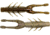Z-man Elaztech TRD Hogz Creature Bait, 6, 3in, Drew'S Craw, THOGZ-343PK6