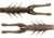 Z-man Elaztech TRD Hogz Creature Bait, 6, 3in, Mudbug, THOGZ-325PK6