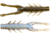 Z-man Elaztech TRD Hogz Creature Bait, 6, 3in, The Deal, THOGZ-320PK6
