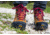 Zamberlan 1996 Vioz Lux Gtx Rr Wns - Womens, CM, 6, 1996ZCMW-6