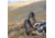 Zamberlan 2092 Mountain Trek GTX RR Mountaineering Shoes - Mens, GO, 8.5, 2092ZGOM-8.5