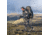 Zamberlan 2092 Mountain Trek GTX RR Mountaineering Shoes - Mens, GO, 8.5, 2092ZGOM-8.5