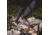 Zamberlan 227 El Cap RR Hiking Shoes - Mens, GR, 13, 0227ZGRM-13