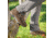 Zamberlan 320 Trail Lite Evo GTX Hiking Boot - Men's, PFAS-Fee, Dark Brown, 11.5, 0320ZDBM-46-11.5