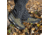 Zamberlan Salathe' GTX RR Hiking Shoes - Men's, PFAS-Free, Olive, 8.5, 0215ZOLM-42.5-8.5