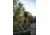 Zamberlan Salathe' Trek GTX RR Hiking Shoes - Men's, PFAS-Free, Olive, 11.5, 0226ZOLM-46-11.5