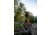 Zamberlan Salathe' Trek GTX Boots - Men's, Olive ,11.5, 0226ZOLM-46-11.5