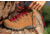Zamberlan Trail Lite Evo Gtx Wns Hiking Shoes - Womens, BR, 6.5, 0320ZBRW-6.5