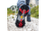 Zamberlan 996 Vioz Gtx - Men's, Dark Grey, 9.5, 0996ZDGM-44-9.5
