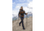 Zamberlan 996 Vioz Gtx - Men's, Dark Grey, 9.5, 0996ZDGM-44-9.5