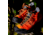 Zamberlan Free Blast Pro Gtx Hiking Boots - Mens